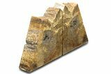 Petrified Wood (Oak) Bookends - Oregon #307179-1